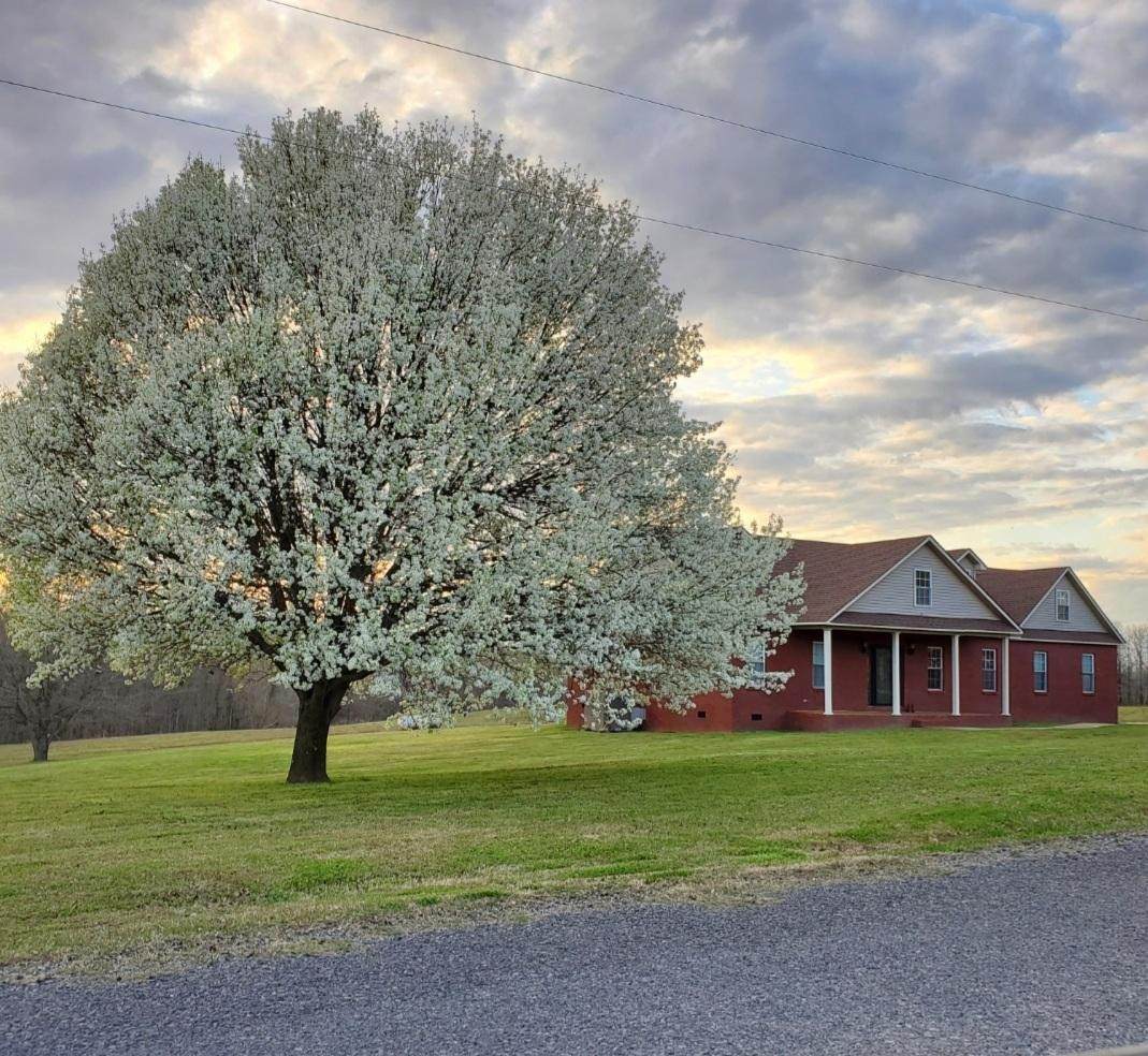 800 Backout Rd - Photo 1