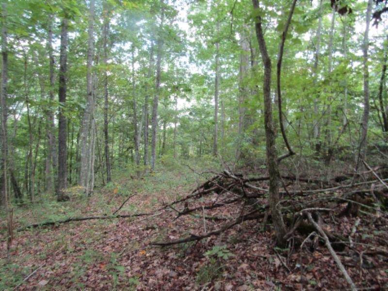 0 5.017Ac Backwoods Trail - Photo 1