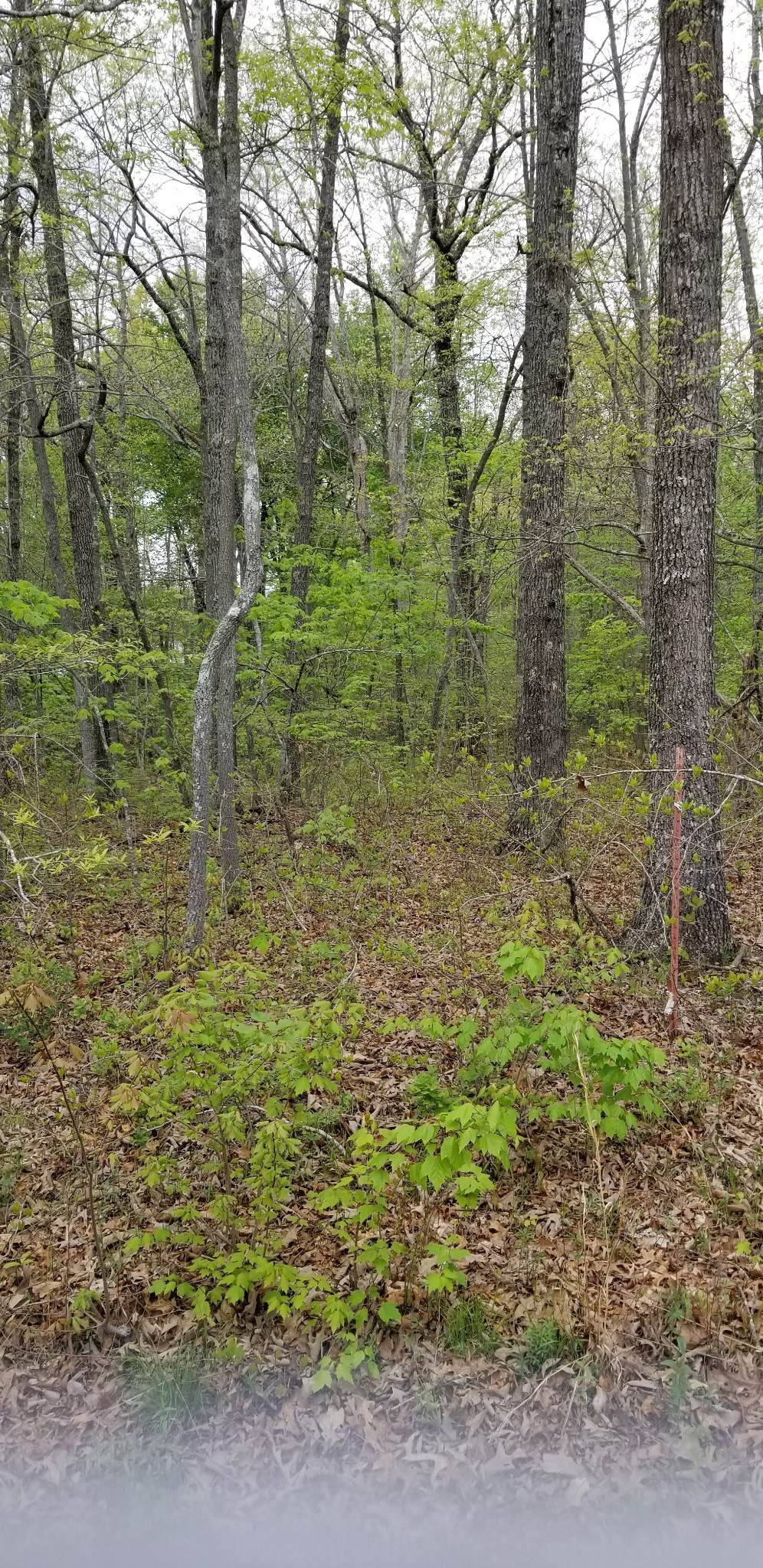 3026 Shawnee Rd - Photo 1