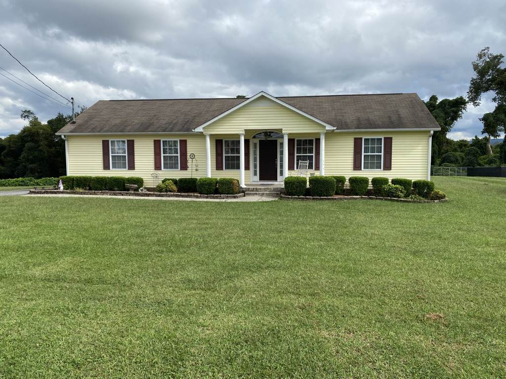 351 Strawberry Dr - Photo 1