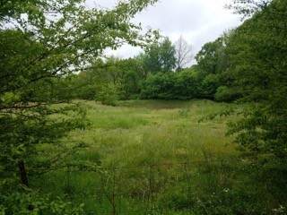 0 Fairview Blvd - Photo 1