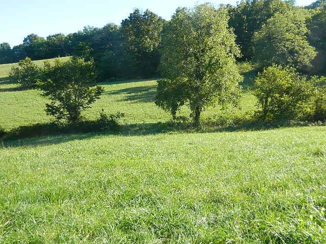 0 Choctaw Rd - Photo 1