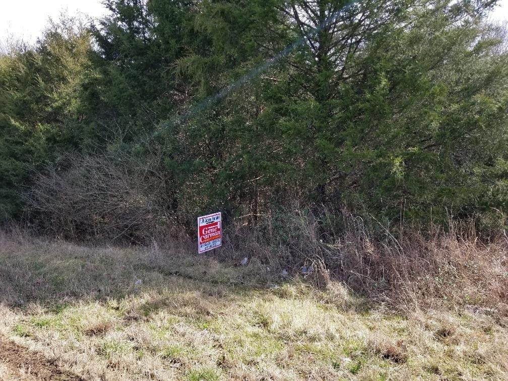 0 Hwy 53 - Photo 1