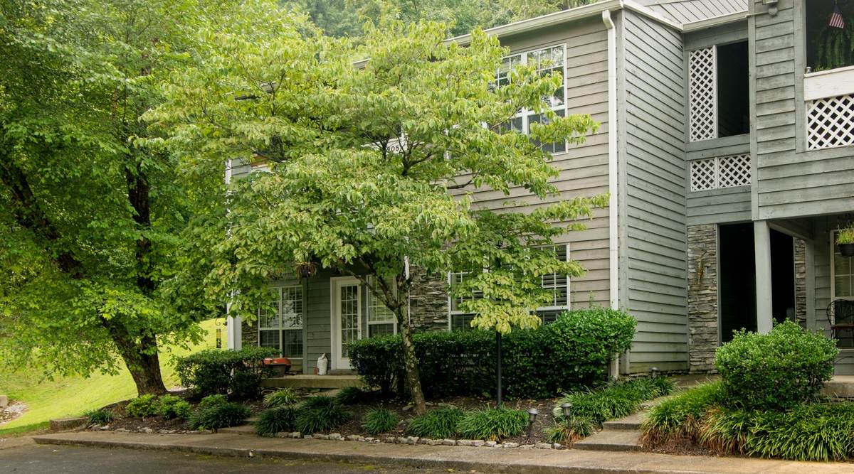 301 Post Creek Rd - Photo 1