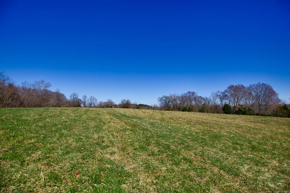 0 Mclemore Road - Photo 1