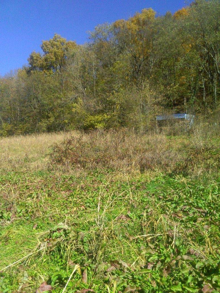 0 Friendship Hollow Rd N - Photo 1