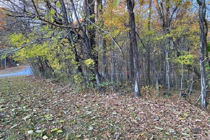 0 Rolling Mill Rd - Photo 1