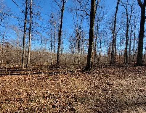 0 Whippoorwill Dr - Photo 1