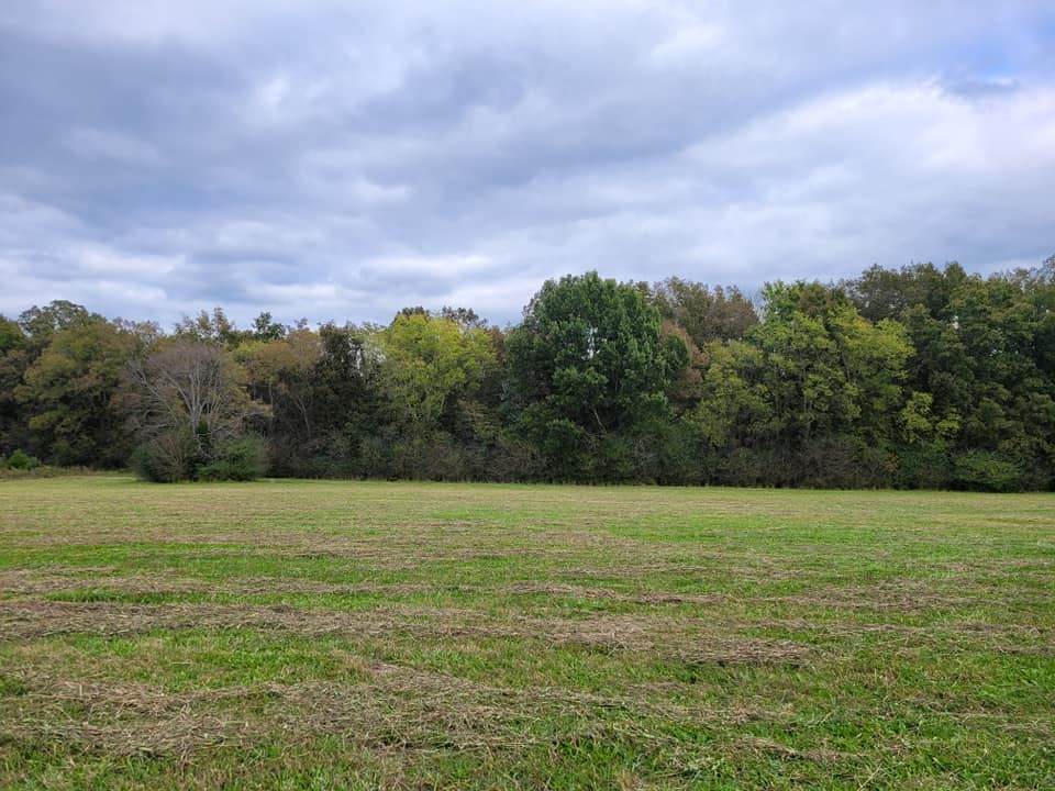 1 Old Nashville Dirt Rd - Photo 1