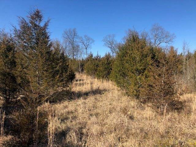 0 Highway 64 East - Photo 1