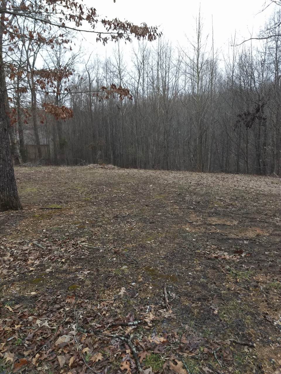 0 Owl Hollow Ln - Photo 1