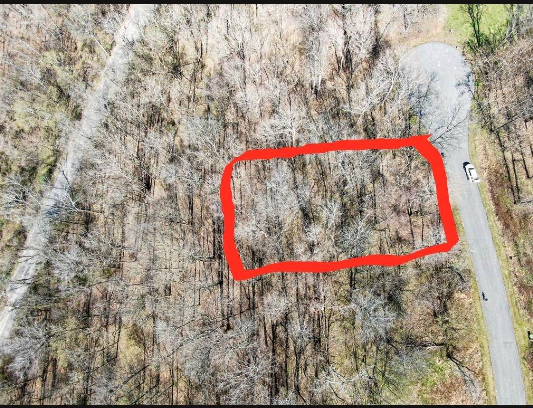 83 Davidson Rd - Photo 1