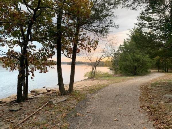 4001 Anderson Rd - Photo 1