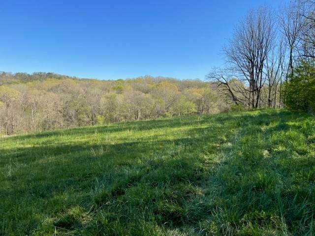 0 Hampshire Pike - Photo 1