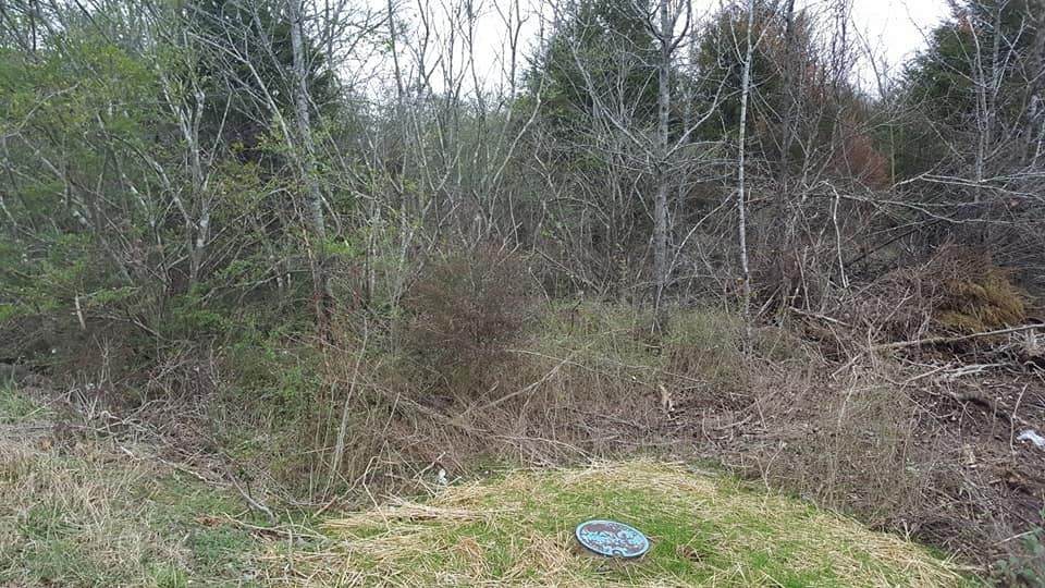 1 Bethany Ln - Photo 1