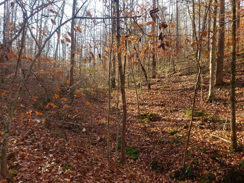 0 Riverwatch Trace - Photo 1