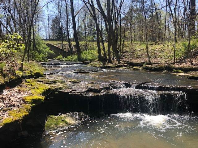2855 Oak Grove Church Rd - Photo 1