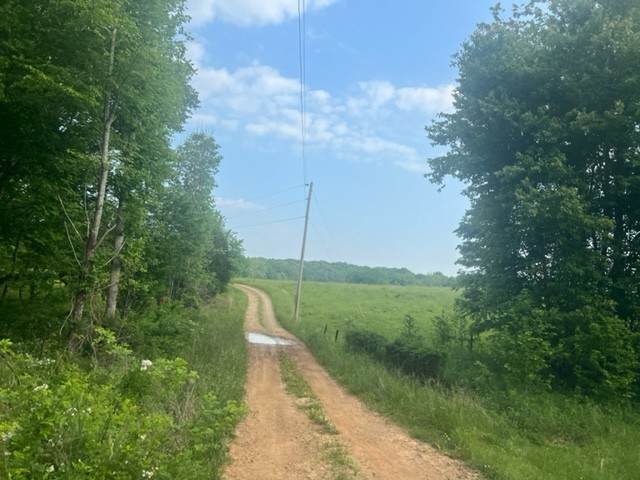 0 Tomsic Rd. - Photo 1