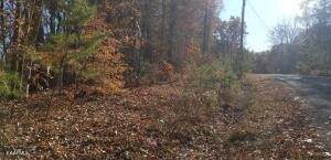 130 Pineridge Loop - Photo 1