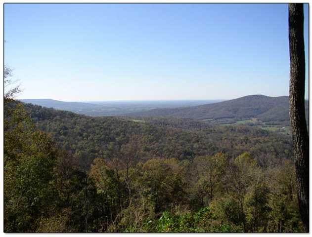 59A Long Mountain Trl - Photo 1