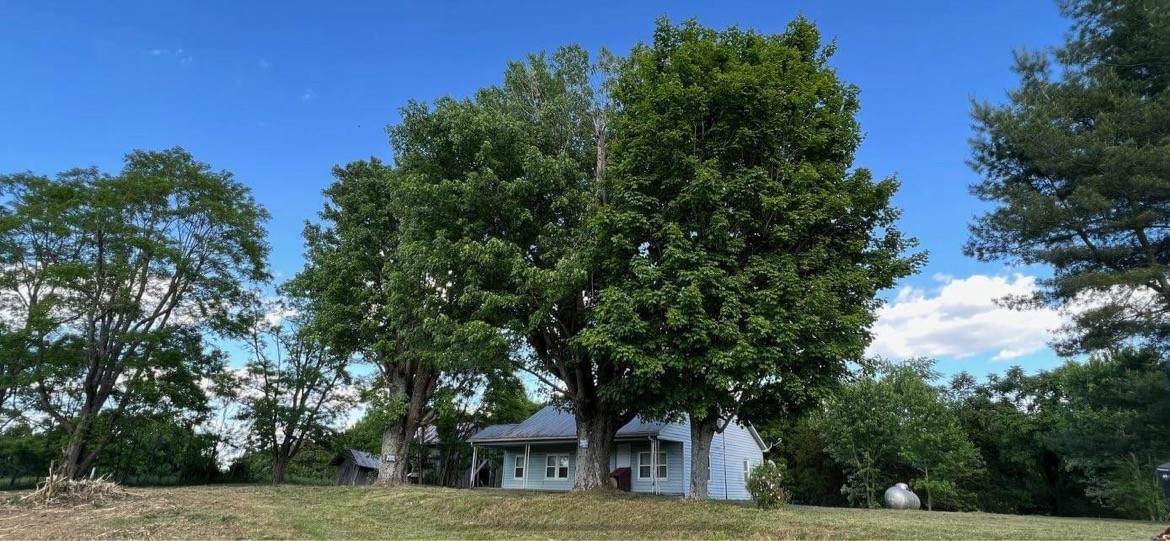 1350 Cropper Ridge Rd - Photo 1