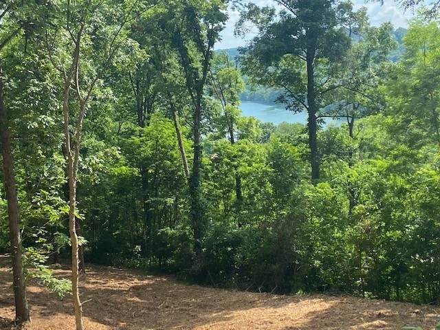 320 Seaton Dr - Photo 1