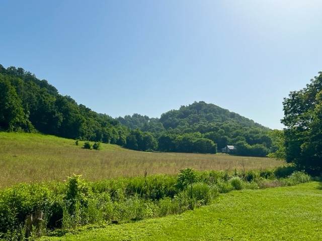 16431 Wallace Hollow Rd - Photo 1