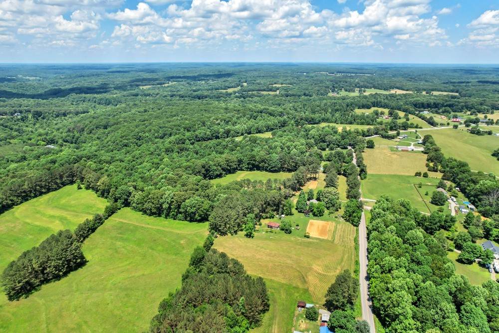 3146 Anderson Rd (7199) - Photo 1