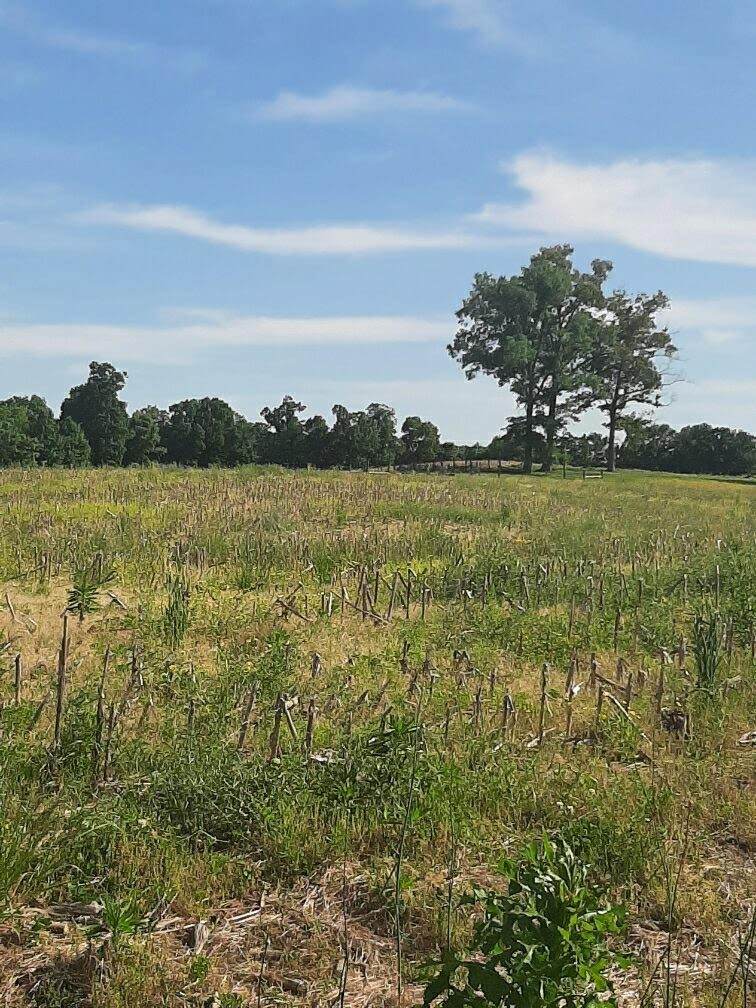 761 Goodridge Rd - Photo 1