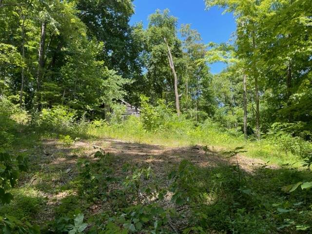 0 Highland Mtn Rd - Photo 1