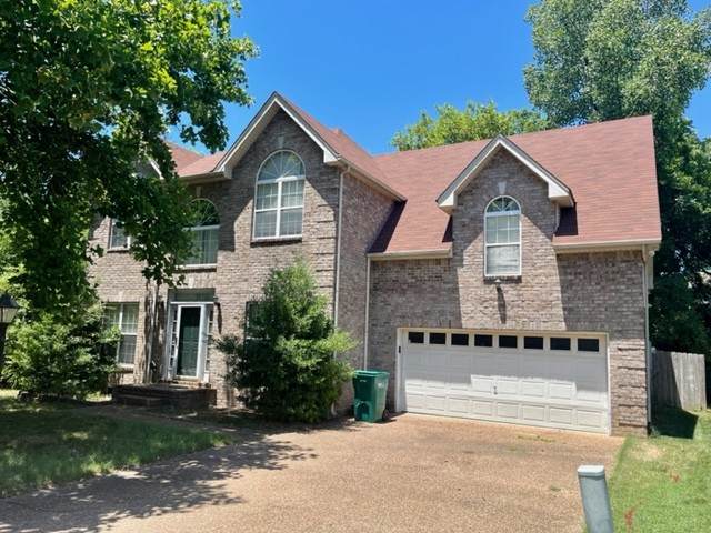 4217 Rachel Donelson Pass - Photo 1