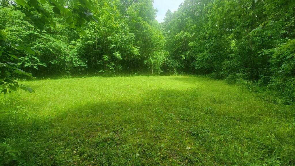 0 Wilderness Ln - Photo 1