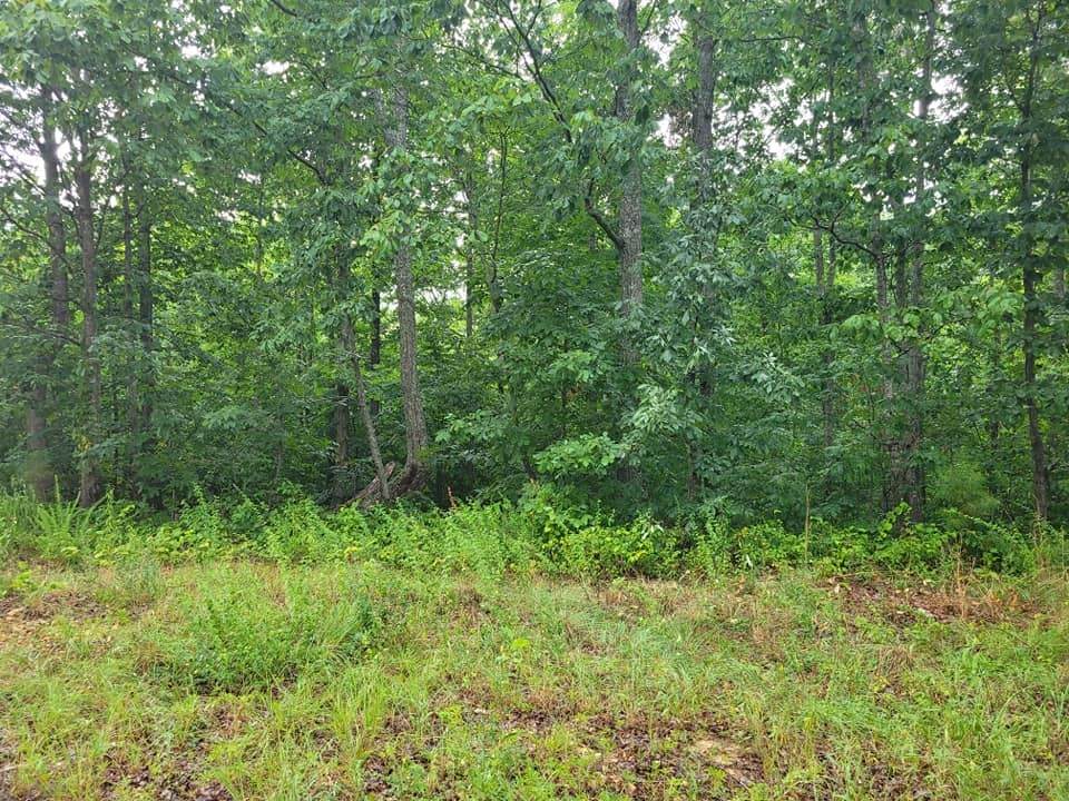 1 Brushy Rd - Photo 1