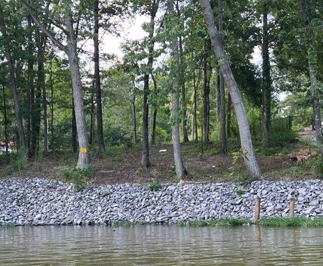 0 County Rd 513 - Photo 1