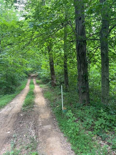 0 Skaggs Branch Rd - Photo 1