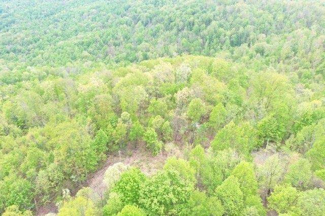 0 Buzzard Roost Rd - Photo 1