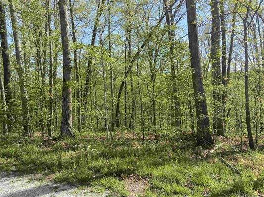 0 Perryville Estates Lane - Photo 1