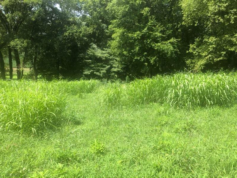 0 Garner Rd - Photo 1