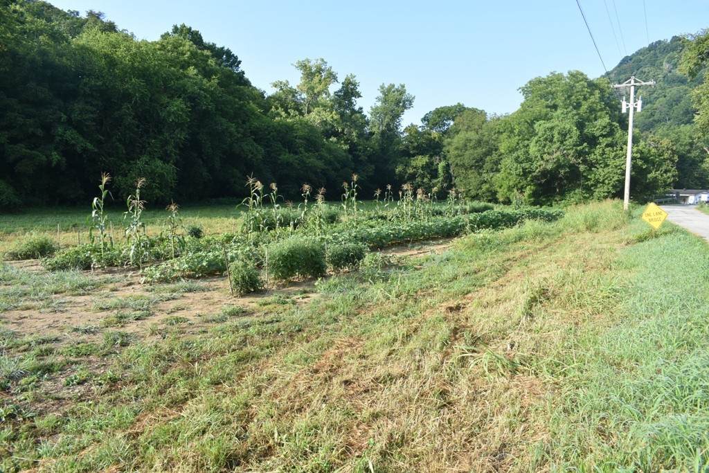 0 Sloan Br Rd - Photo 1