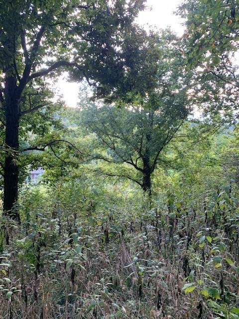 340 Cortner Hollow Rd - Photo 1