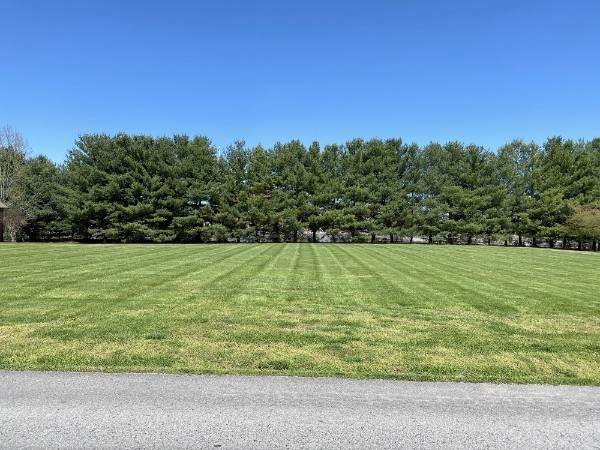 133 Bluegrass Dr - Photo 1