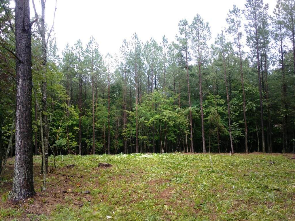 0 Hickory Nut Trail - Photo 1