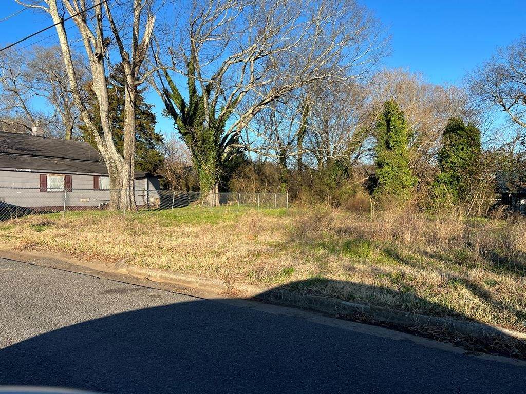 1405 Crane Street - Photo 1