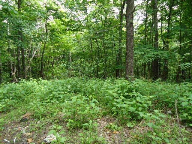 616 Star Point Rd - Photo 1
