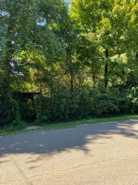 436 Bluegrass Ave - Photo 1