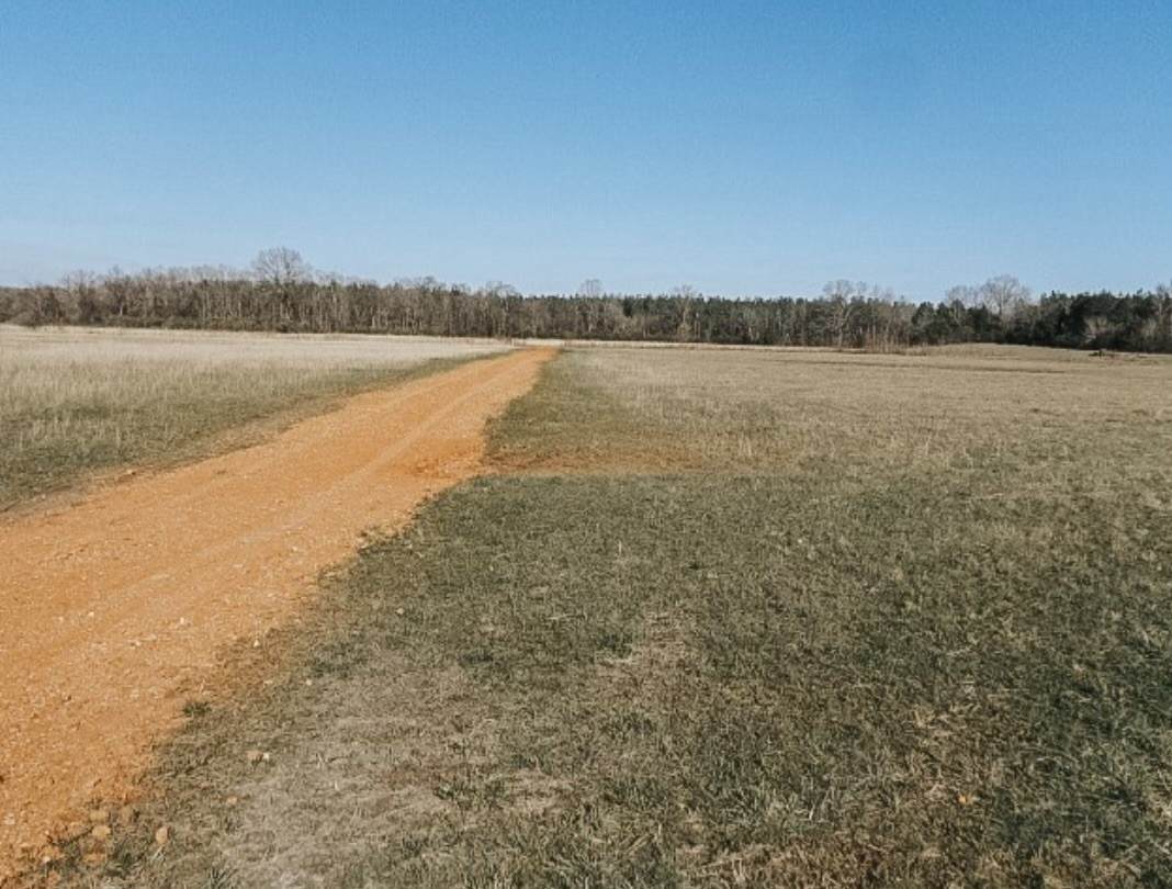 0 Cerro Gordo Road - Photo 1