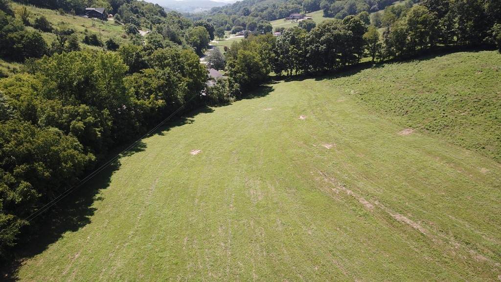 56 Dyer Branch Rd - Photo 1