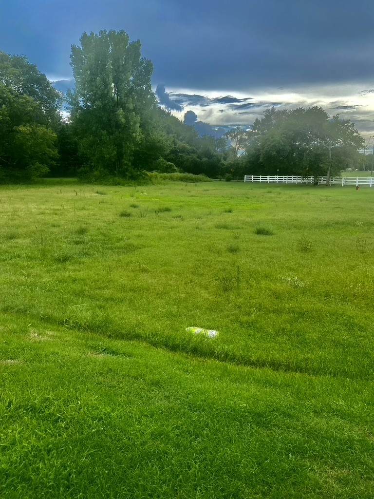 7986 Coley Davis Rd - Photo 1