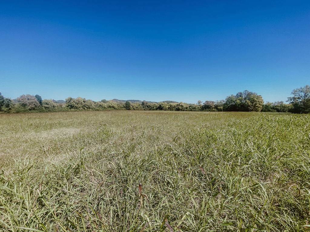 0 Mcmurry Blvd West - Photo 1