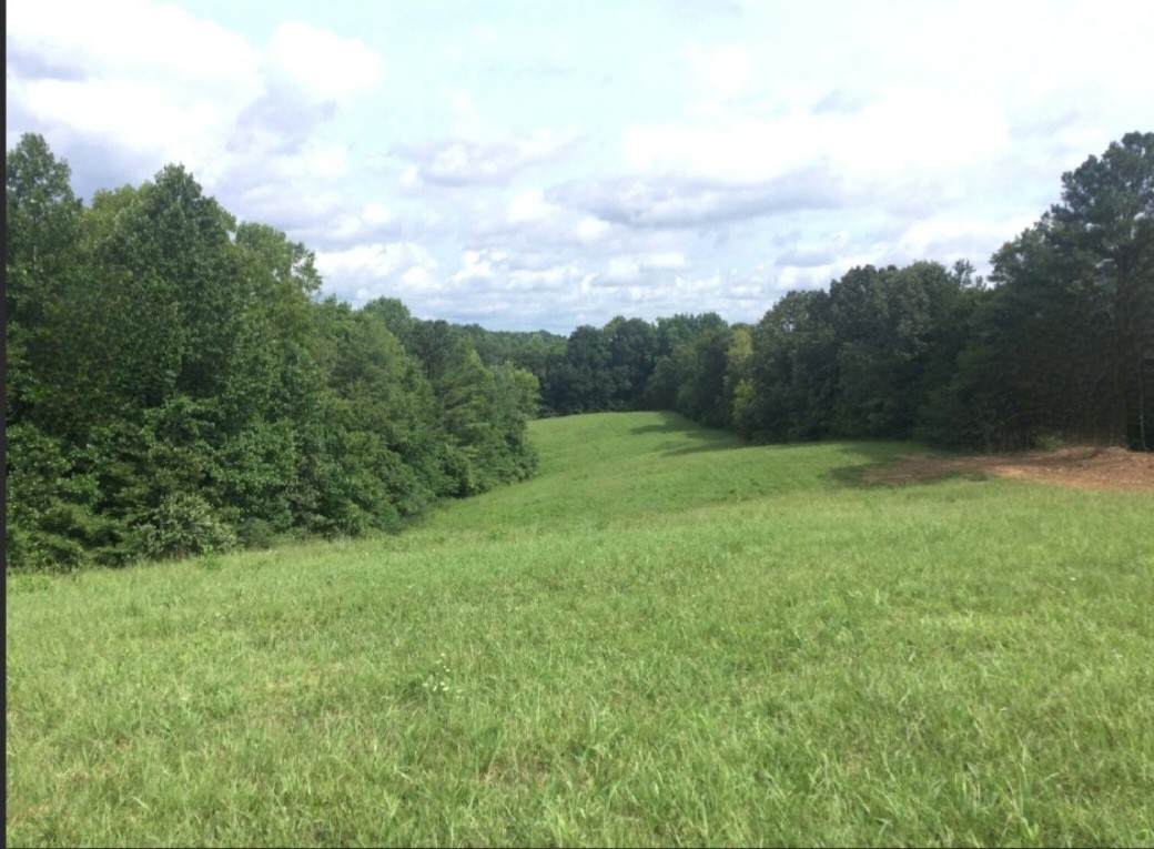 0 Young Ridge Road - Photo 1